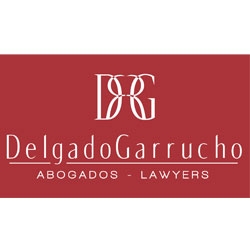 Delgado Garrucho Law Firm