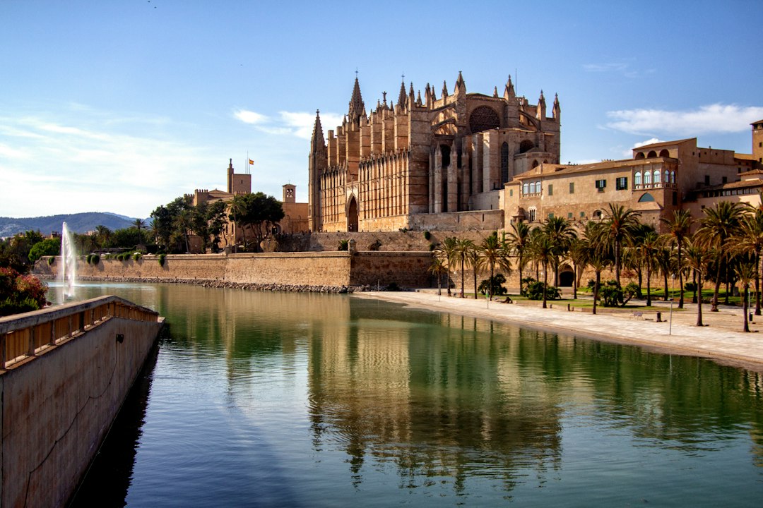 Palma de Mallorca cathedral and waterfront, where many international buyers start their property search