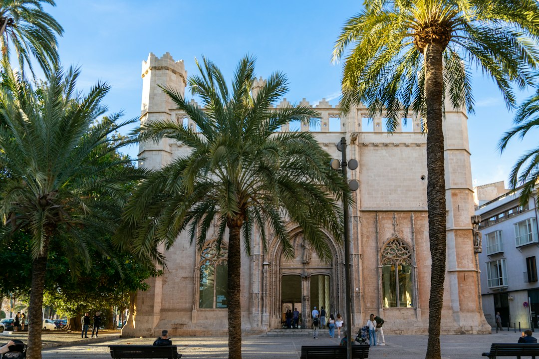 Residential buildings and palm trees in Palma de Mallorca, a key market for foreign buyers